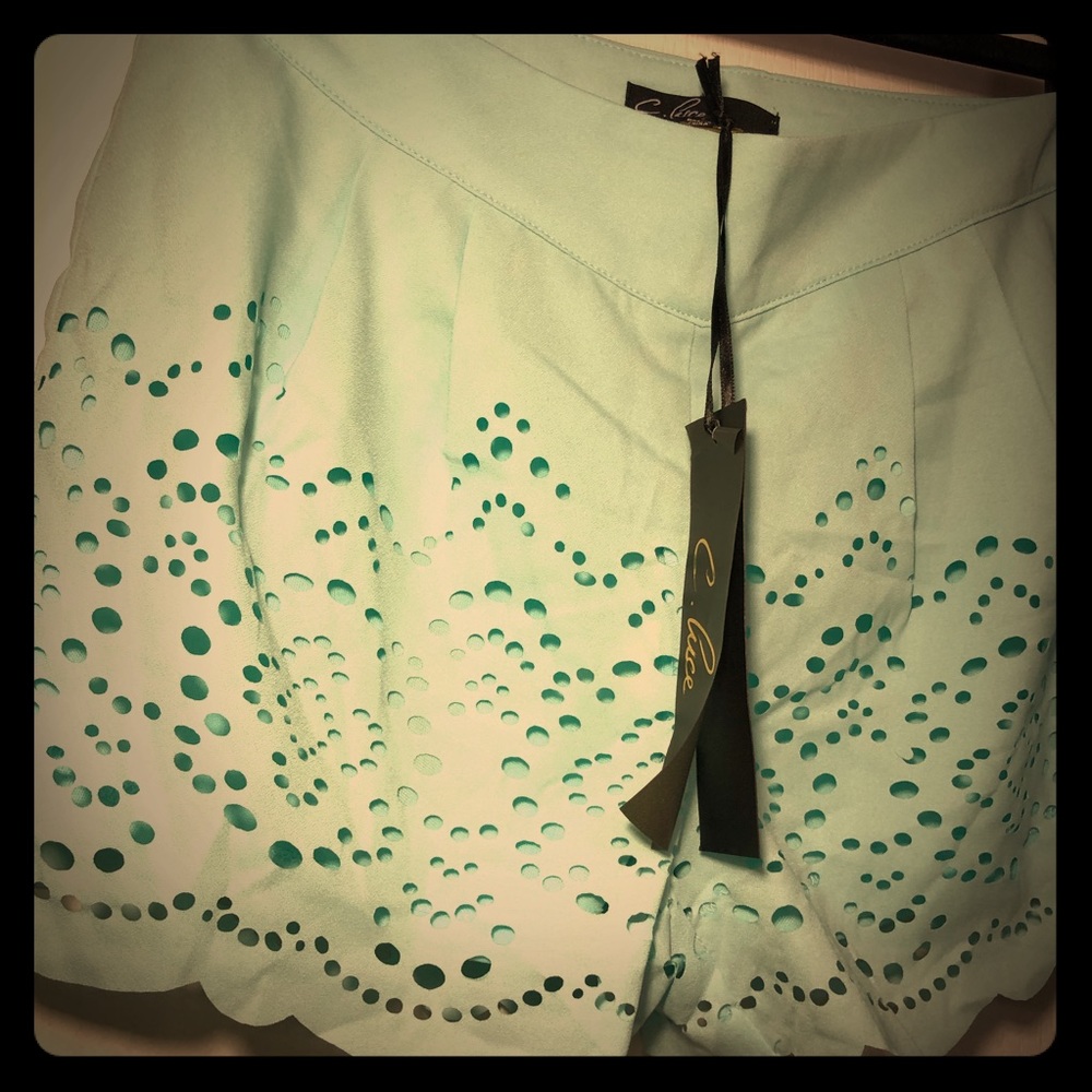 NWT C. Luce/ModCloth Mint Green Lace Shorts